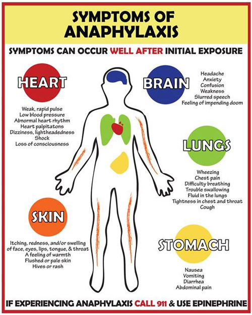 Heart: weak rapid pulse, low blood pressure, heart palpitations; Brain: headache, anxiety, confusion, slurred speech; Lungs: wheezing, chest pain, difficulty breathing, trouble swallowing; Skin: itching, redness, swelling of face eyes lips tongue throat, hives or rash; Stomach: nausea, vomiting, diarrhea, abdominal pain